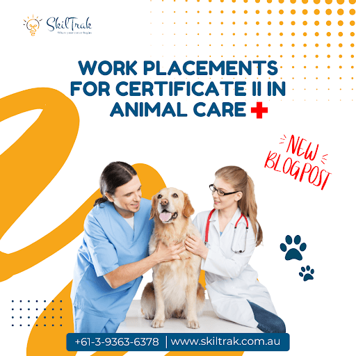 Work Placements for Certificate II in Animal Care: